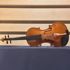 Item thumbnail for item 2c01f9fe-4ed8-4282-aa6d-32e69617557e