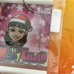 楓 ミニタペストリー