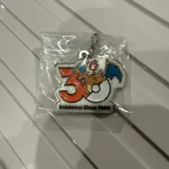 【即日発送】ポケモン 30周年 メタルチャームマスコット　リザードン
