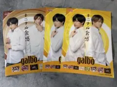 SexyZone 中島健人 菊地風磨 ガルボ　galbo A4 クリアファイル