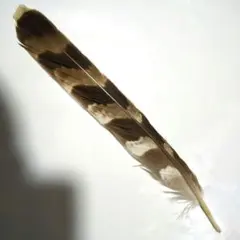 くらげびと様 リクエスト 2点 まとめ商品