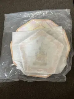 ディズニーランド　40周年 スーベニア　プレート