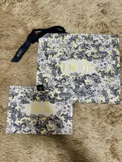 DIOR紙袋　2枚セット