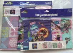 Tokyo Disneyland Marvelタオル3枚巾着セット