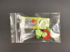 ポケモン チョコエッグ 旅立ちの3匹 チコリータ