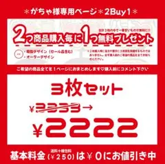 ２Buy1③がちゃ様 リクエスト 3点 まとめ商品
