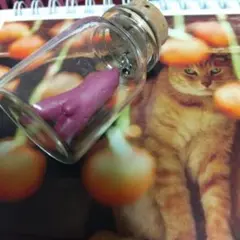 さつまいも お芋っこりストラップ 瓶入り。