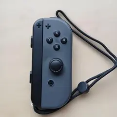 2026年最新】switch コントローラー ジャンクの人気アイテム - メルカリ