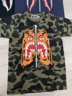 Item thumbnail for item ac898940-3f11-45c6-9ead-86a191e8d531