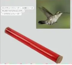 Item thumbnail for item 4c68040b-ff66-4481-aaef-08b2cec5c78f