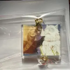 鬼滅の刃 隊士百景 我妻善逸 絆アクリルチャーム 嘴平伊之助