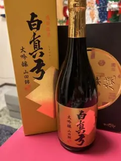 Item thumbnail for item d5cc7137-57fa-4e96-a291-391542edb1b3