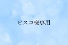 ビスコ様 リクエスト 2点 まとめ商品