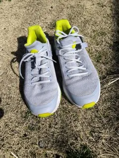 Item thumbnail for item f6469c56-cce5-4f70-8704-5ca7fb2f5a55