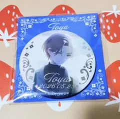 2026年最新】キャラクターグッズ ピンズ・ピンバッジ・缶バッジの人気