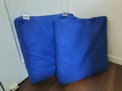 【2個セット販売】True Sleeper 低反発座布団のサムネイル