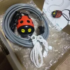 Item thumbnail for item 0810cbe6-c9d4-4972-9009-dd048555677f