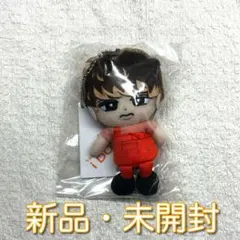 【新品未開封】　向井康二 すのチル ぬいぐるみ
