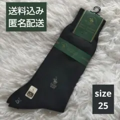 ZA13: Santa Barbara Polo 靴下 25サイズ 黒のサムネイル