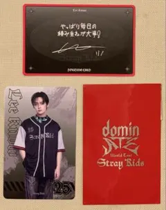 Stray Kids Lee Know フォーチュンカードセット