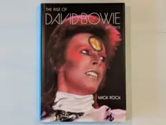 リック・オケイセック ファイアボール・ゾーン ric ocasek 国内盤CD