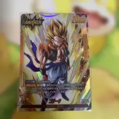 黒雛様 リクエスト 2点 まとめ商品