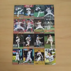 2025 プロ野球チップスカード 16枚まとめ売り