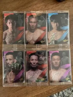 RIZIN ウエハース