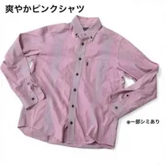 Golden Bear シャツ ストライプ ピンク 長袖 M メンズ 綿のサムネイル