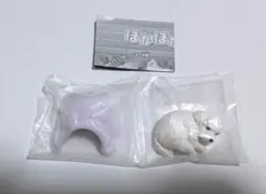 ぽかぽかわんこ トイプードル　ホワイト
