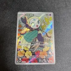 L*〆様 NEWメロエッタ AR