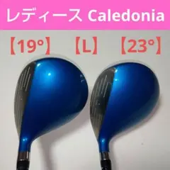 Item thumbnail for item e8807f0d-3acb-45ee-8913-944c5852a98d