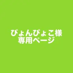 〜ぴょんぴょこ様専用ページ〜