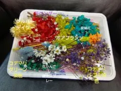 キラキラ꙳✧˖°パール多種類詰め合わせセット