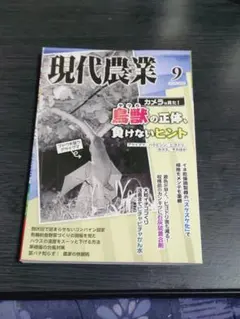 Item thumbnail for item 431d3e1f-656b-416d-b694-8ca0fa7d57ec