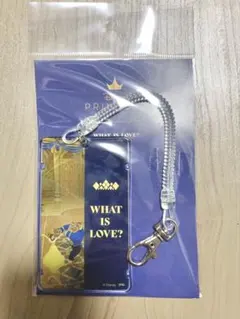 新品　ディズニープリンセス 展　美女と野獣　ベルICカードケース