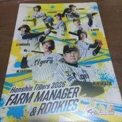 Item thumbnail for item 6fd5b735-37e4-4888-960b-fc8636b2971e