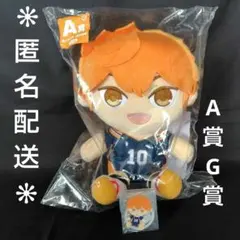 ハイキュー!! フリューくじ一番くじ A賞ぬいもっち G賞アクスタ 日向翔陽