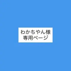わかちやん様専用ページ
