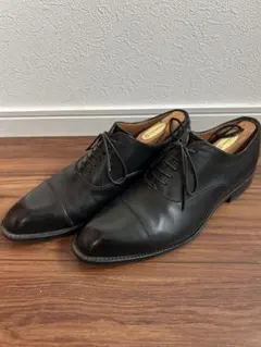 【美品】REGAL 25.0cm ストレートチップ GORE-TEX シューズのサムネイル