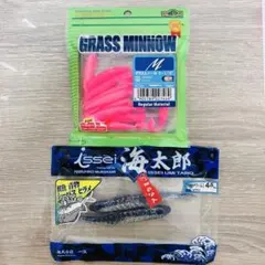 Item thumbnail for item 27966f11-5fa9-4b8c-9157-479505d90f02