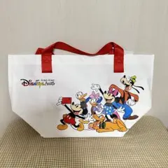香港ディズニーランド　ショッピングバッグ　Sサイズ