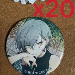 プロセカ 缶バッジ 37B 38C 20点 セット