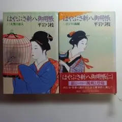 はやぶさ新八御用帳」10巻 「はやぶさ新八御用旅」6巻 平岩弓枝 - メルカリ