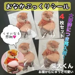 おなかぷっくりシール ４枚 スクイーズ もちもちお腹 柴犬 おへそ 3D 立体