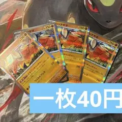ハリテヤマ 在庫4