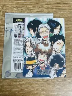 家庭教師ヒットマンREBORN！ マグネットステッカー ボンゴレ集合 天野明展