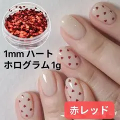 1mmハートホログラム　レッド赤　1g　ア極小ミニ ネイルパーツ　バレンタイン。