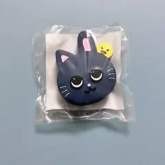 RIIZE うちわアクセサリー ウォンビン