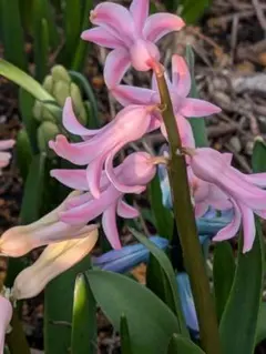 ぷりん様 リクエスト 3点 まとめ商品